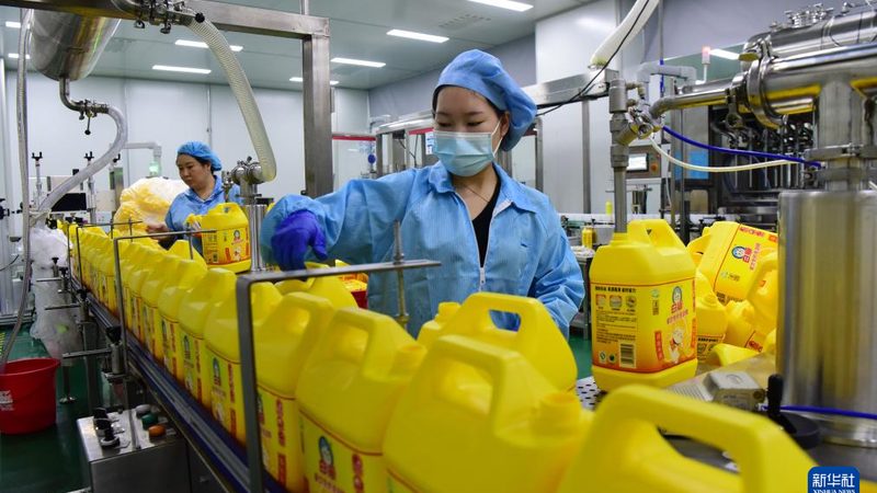 广东黑色母粒：揭秘其应用与选择要点